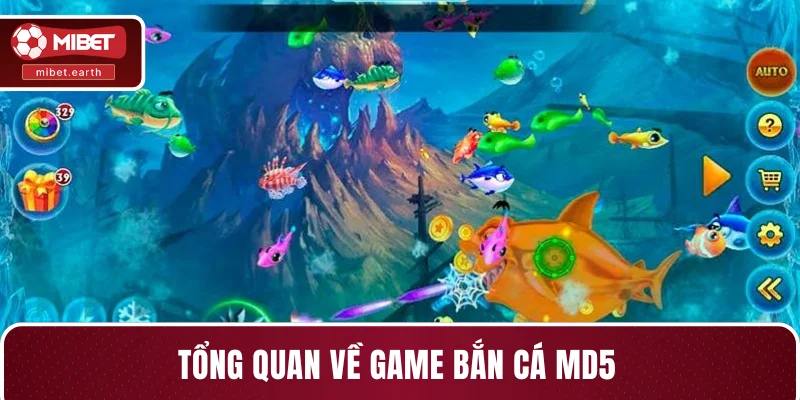 Tổng quan về game bắn cá MD5 Tổng quan về game bắn cá MD5