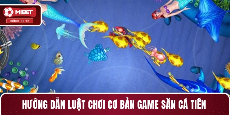 Hướng dẫn luật chơi cơ bản game săn cá tiên Hướng dẫn luật chơi cơ bản game săn cá tiên